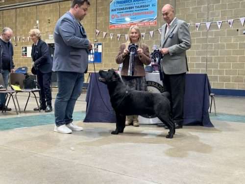 Bo “Miles From Nowhere Heavy-Duty” get his second CC today