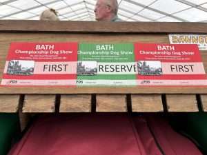 Bath Championship Show, judge A. Allen