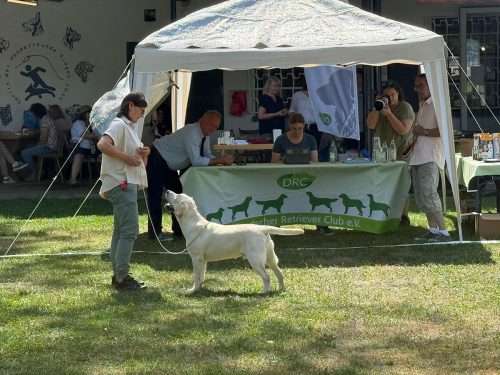 DRC Double SRA Schwarzwald-Bodensee Weekend